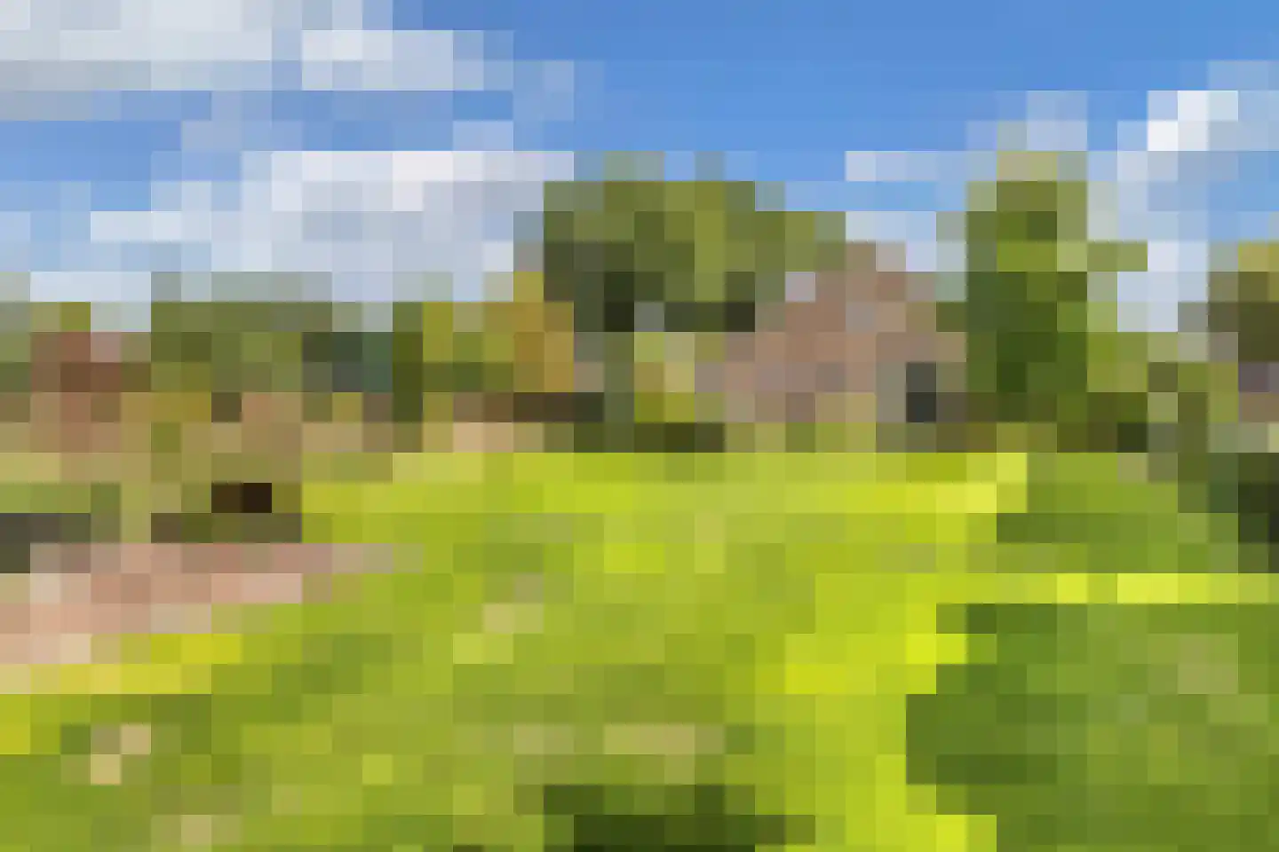 Bosplantsoen 40 Zevenhuizen thumbnail 29