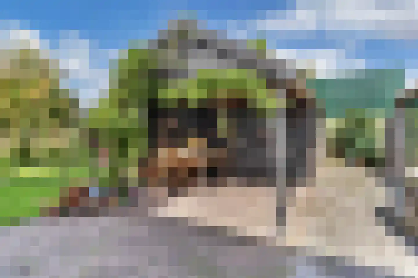 Bosplantsoen 40 Zevenhuizen thumbnail 31