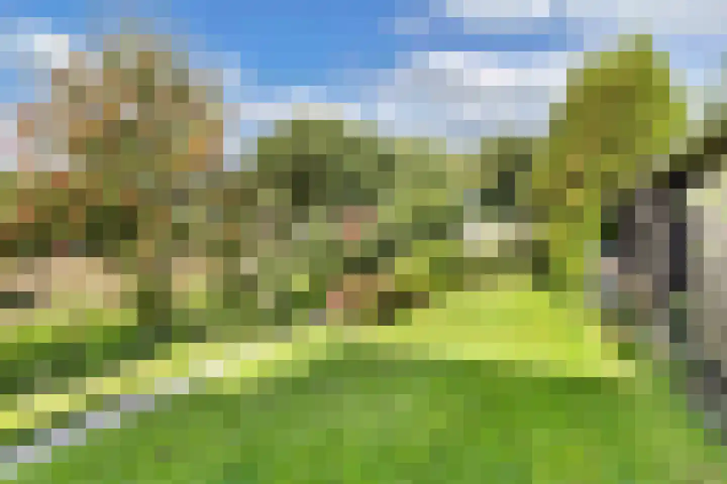 Bosplantsoen 40 Zevenhuizen thumbnail 33
