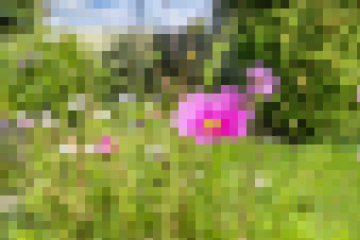 Bosplantsoen 40 Zevenhuizen thumbnail 34