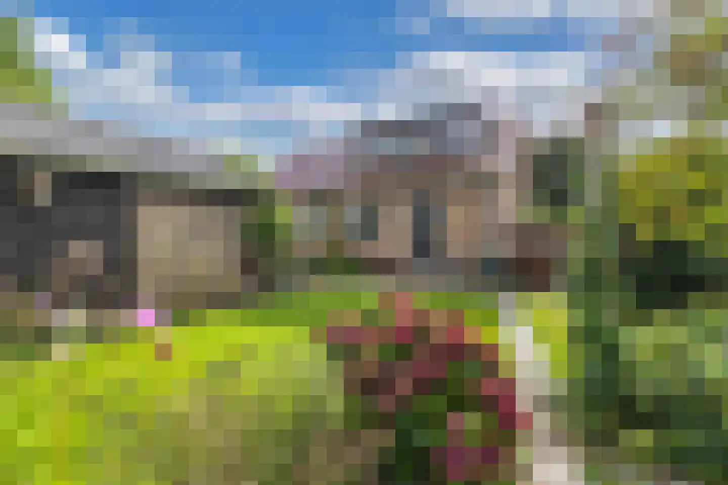 Bosplantsoen 40 Zevenhuizen thumbnail 35
