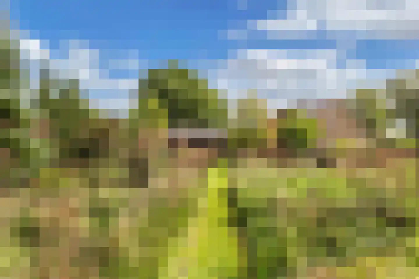 Bosplantsoen 40 Zevenhuizen thumbnail 36