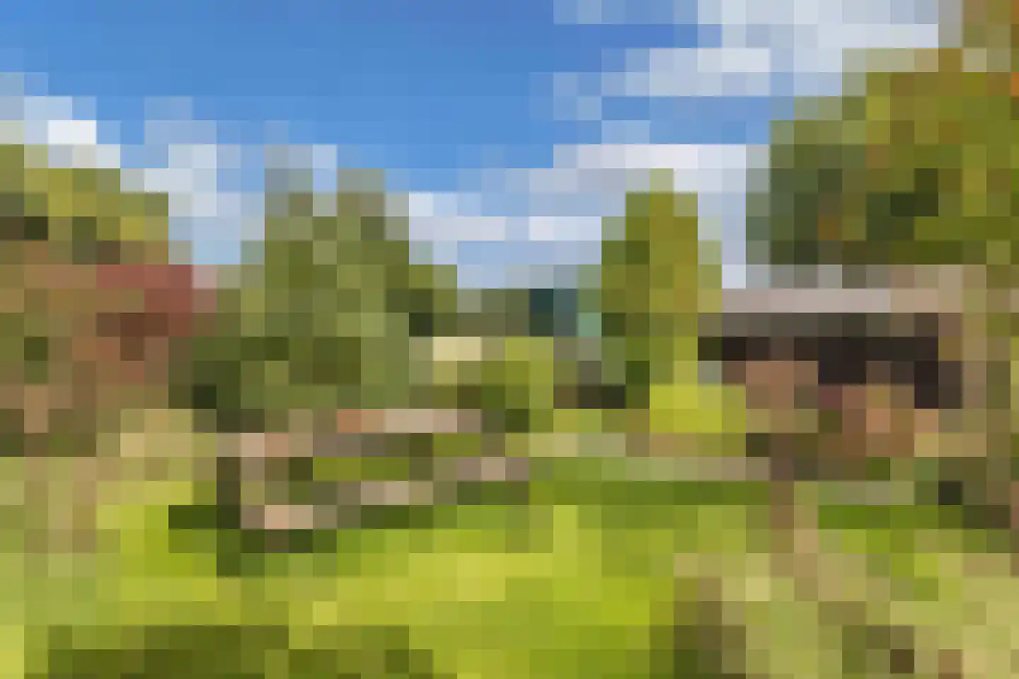 Bosplantsoen 40 Zevenhuizen thumbnail 37