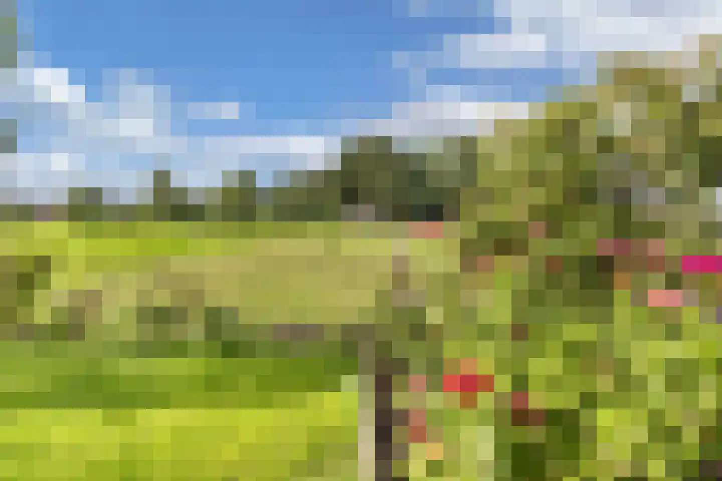 Bosplantsoen 40 Zevenhuizen thumbnail 38