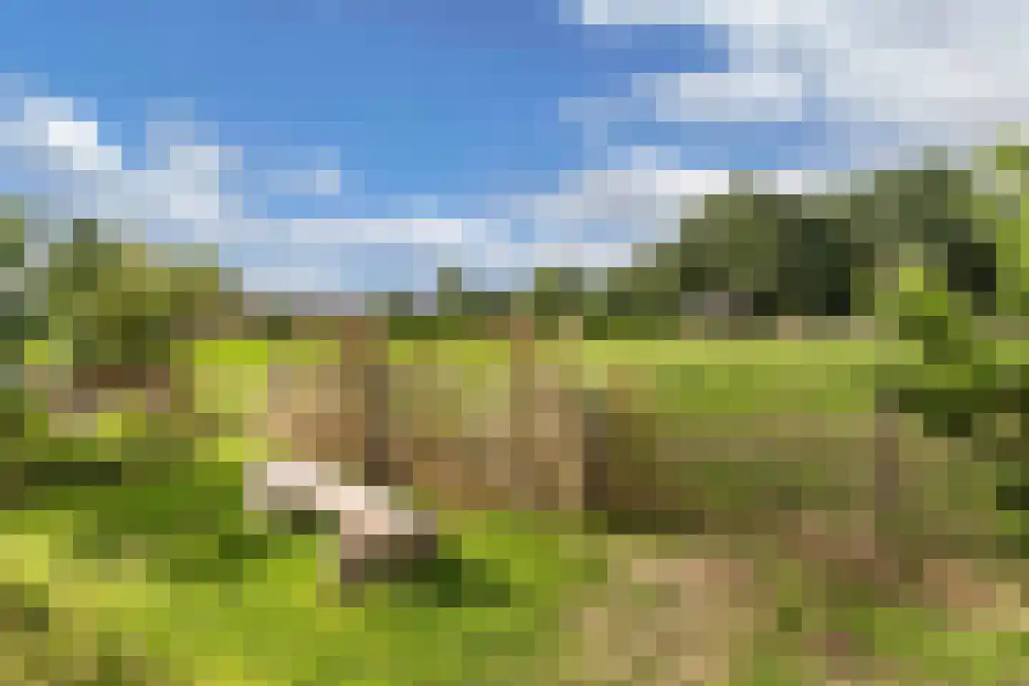 Bosplantsoen 40 Zevenhuizen thumbnail 39