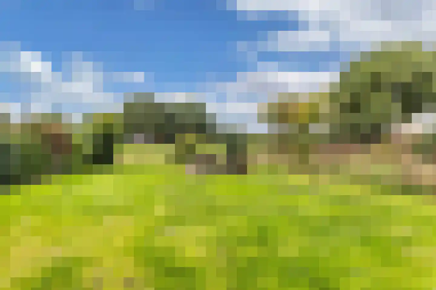 Bosplantsoen 40 Zevenhuizen thumbnail 4