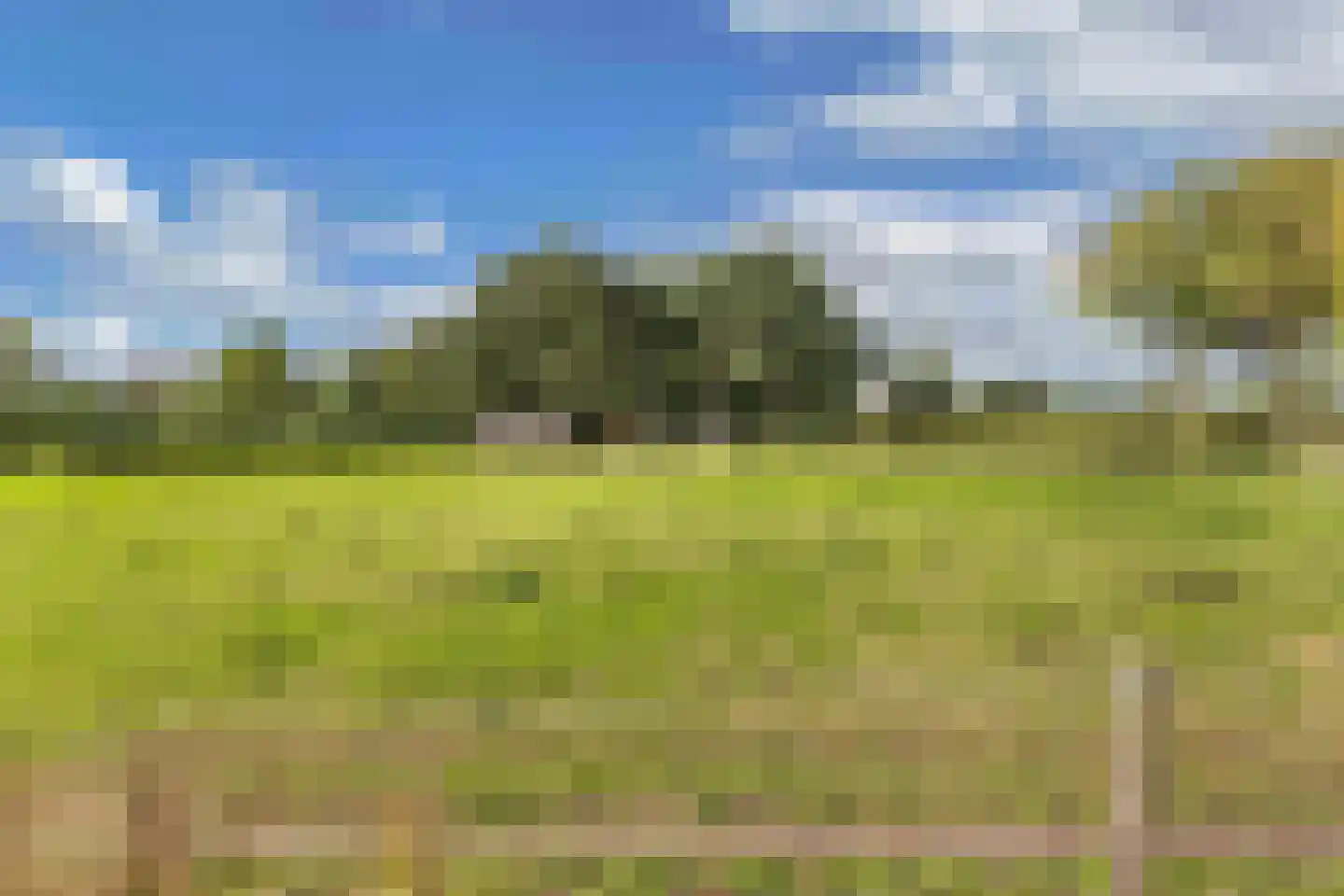 Bosplantsoen 40 Zevenhuizen thumbnail 40