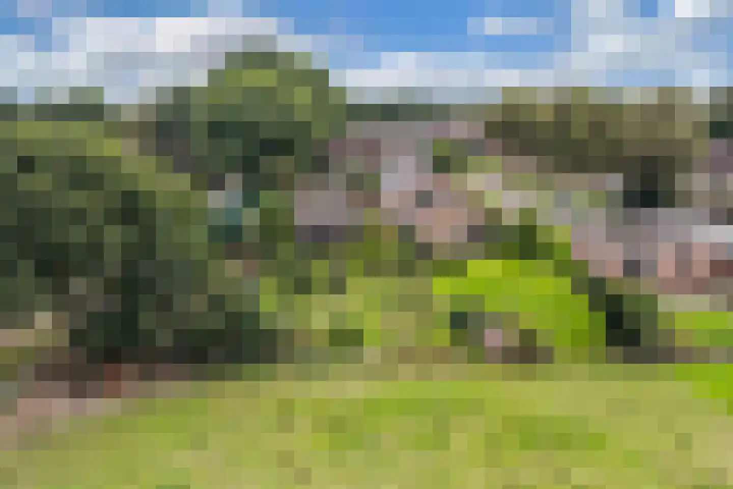 Bosplantsoen 40 Zevenhuizen thumbnail 42