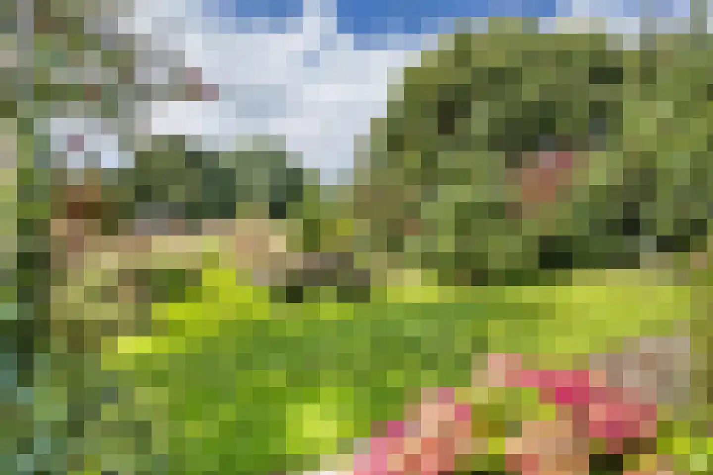 Bosplantsoen 40 Zevenhuizen thumbnail 5