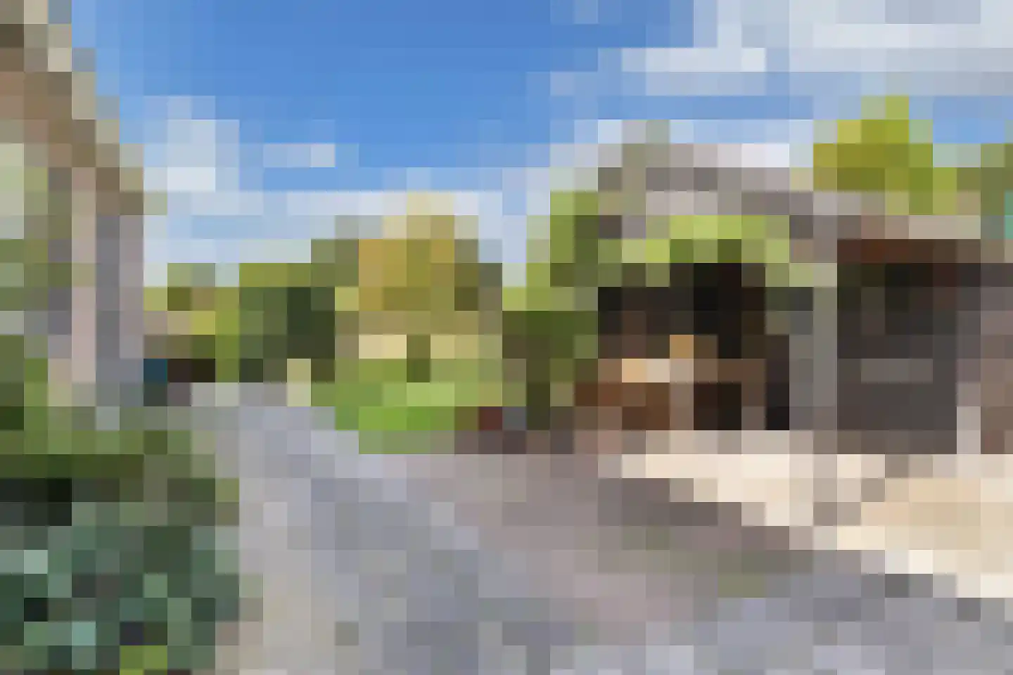 Bosplantsoen 40 Zevenhuizen thumbnail 6