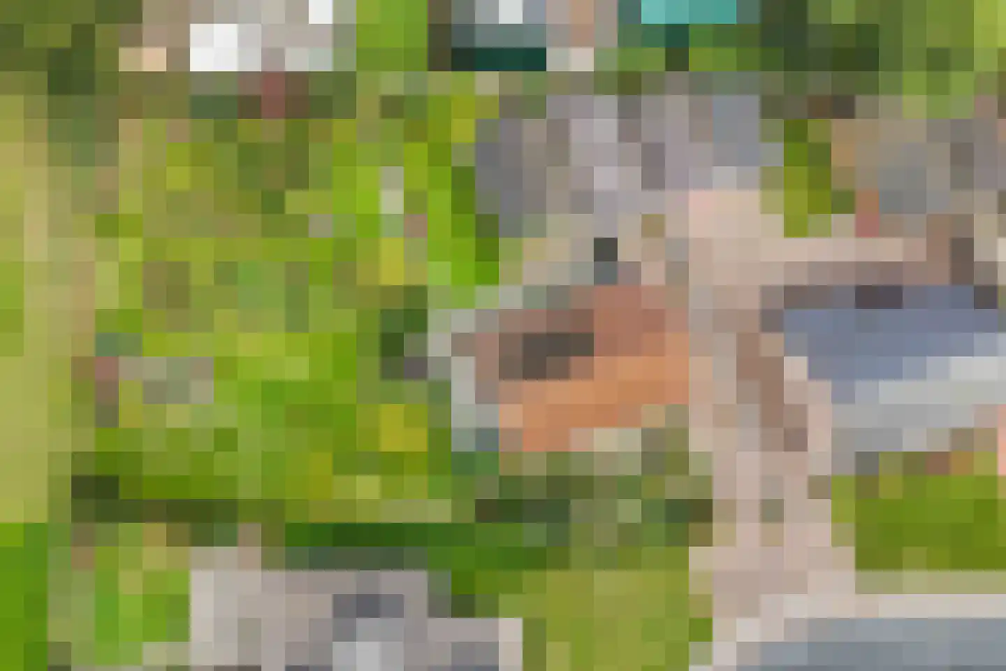 Bosplantsoen 40 Zevenhuizen thumbnail 7