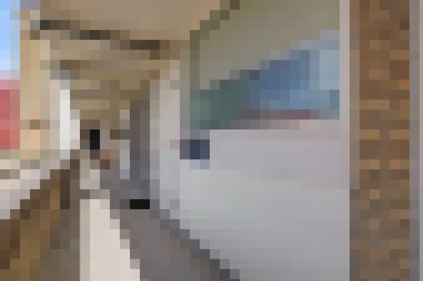 Bosplein 18 Katwijk thumbnail 9