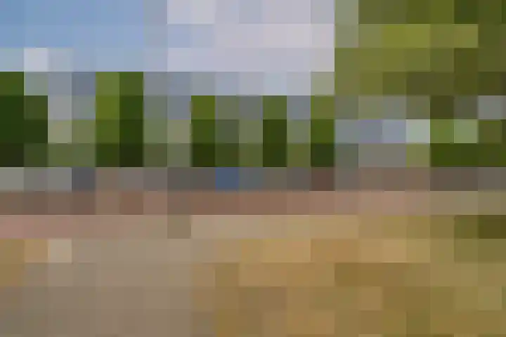 Bosplein 26 Katwijk thumbnail 34