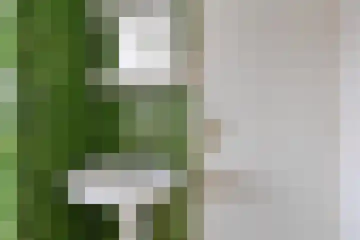 Bosplein 5 Axel thumbnail 13