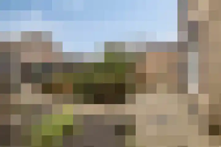 Bosplein 5 Axel thumbnail 19