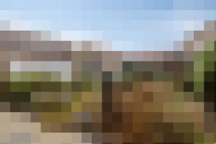 Bosplein 5 Axel thumbnail 20