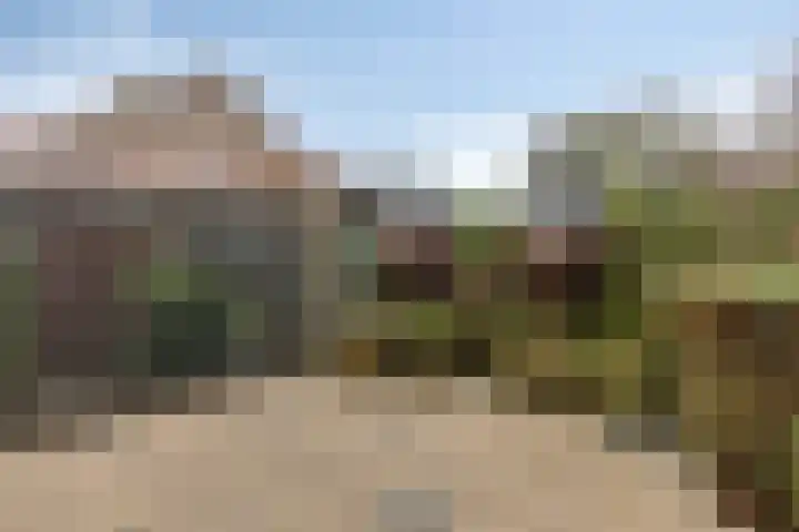 Bosplein 5 Axel thumbnail 23
