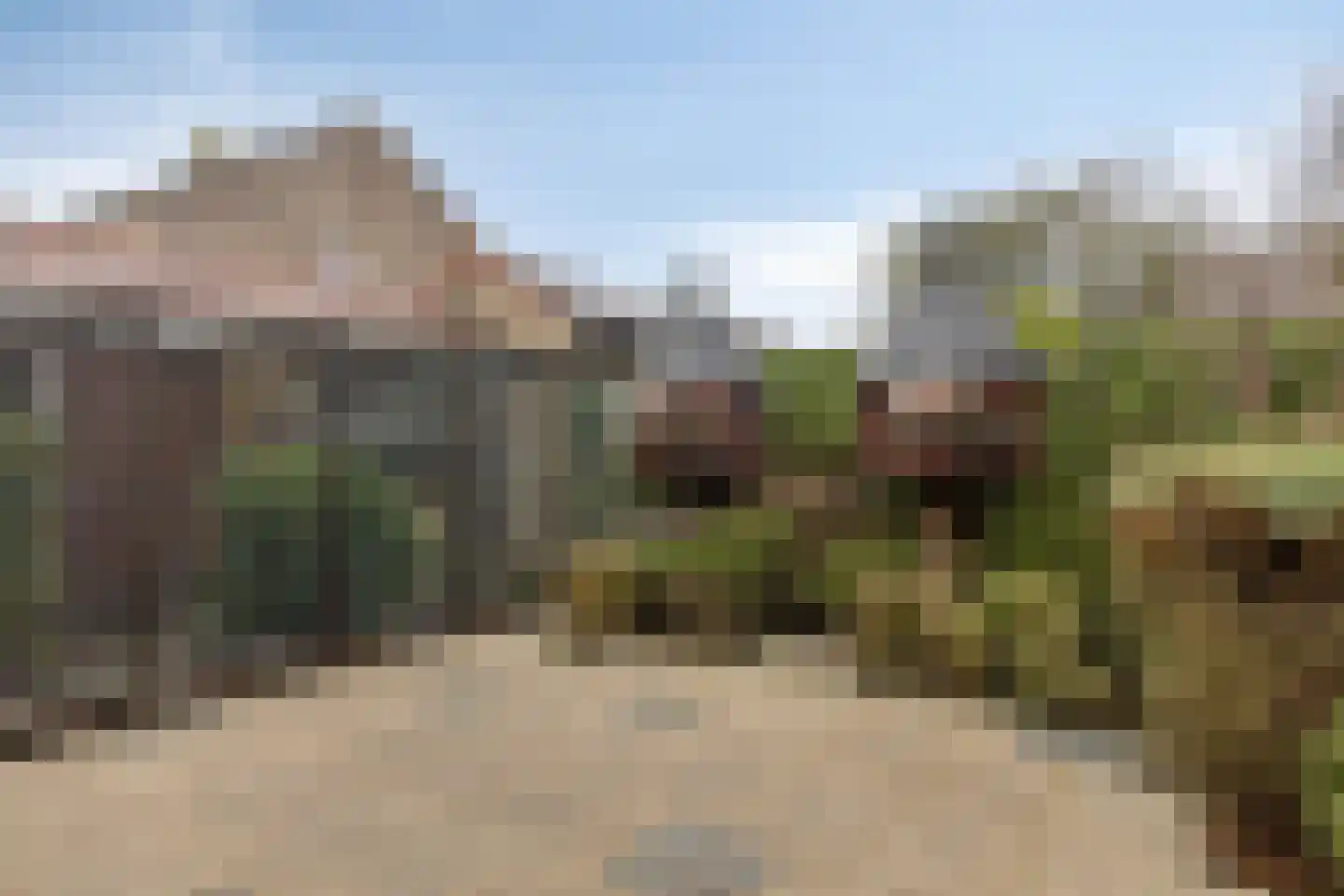 Bosplein 5 Axel thumbnail 23