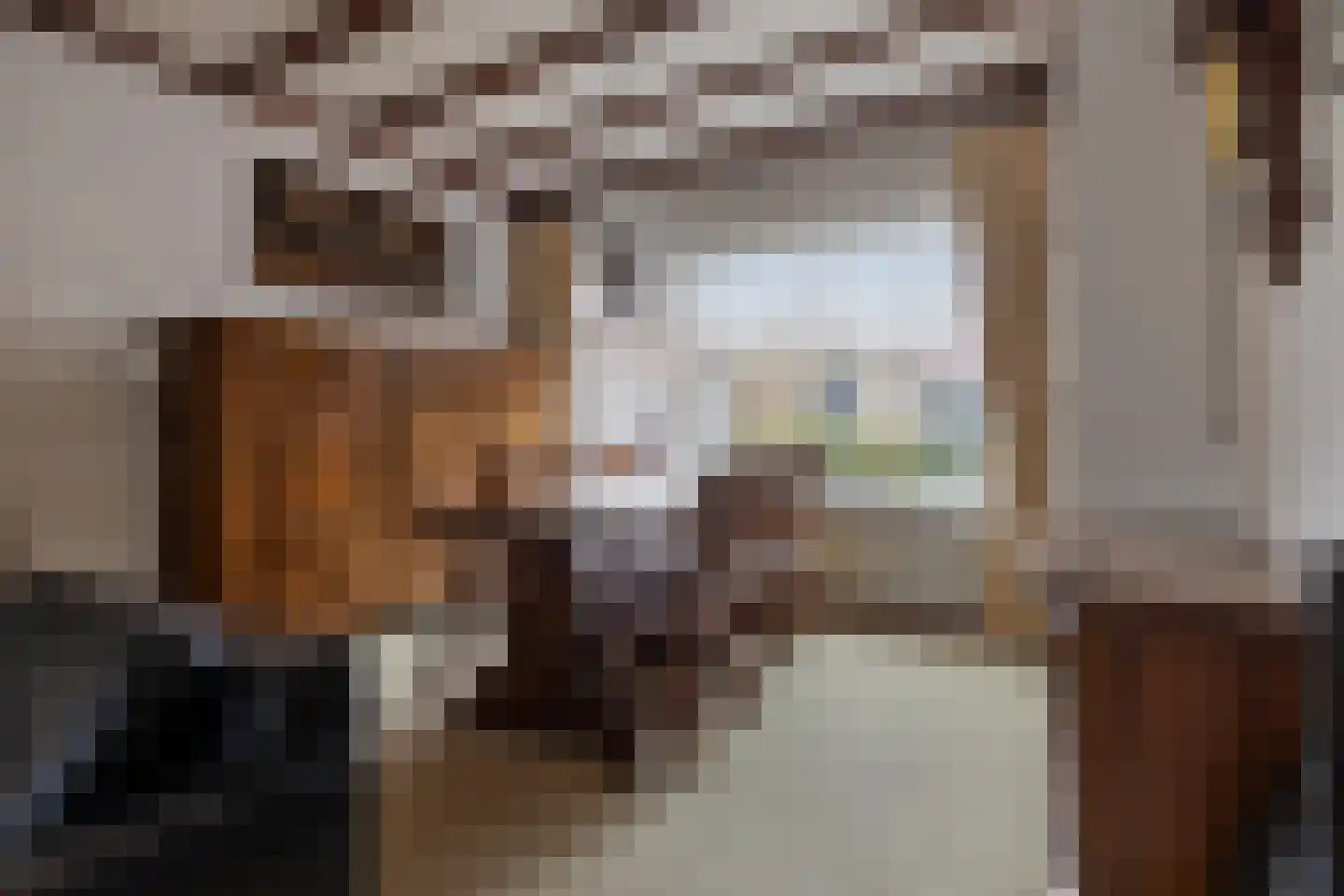 Bosplein 5 Axel thumbnail 7