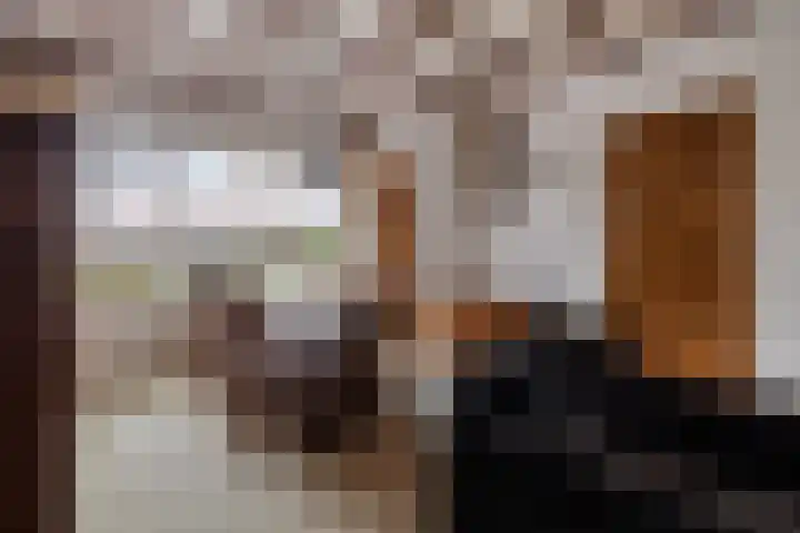 Bosplein 5 Axel thumbnail 8