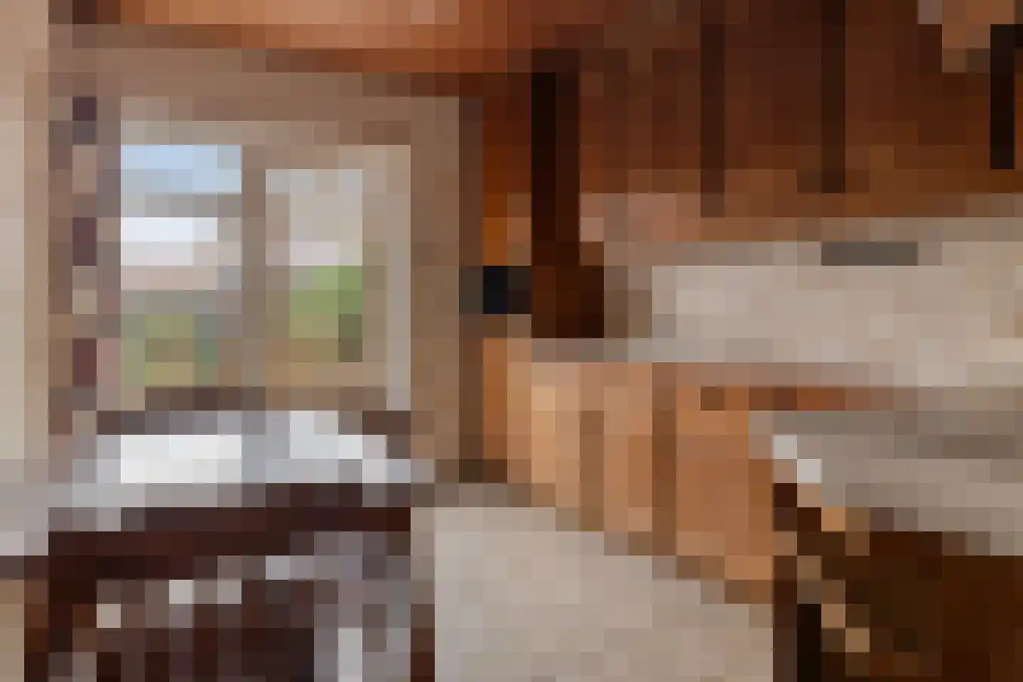 Bosplein 5 Axel thumbnail 9