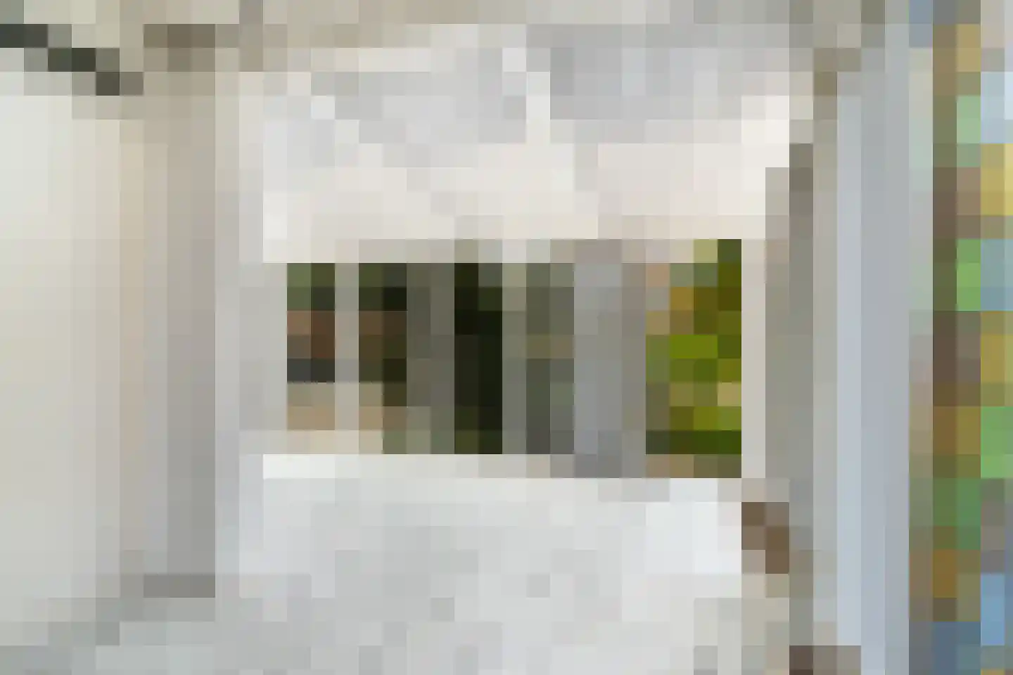 Bospolder 19 Honselersdijk thumbnail 18