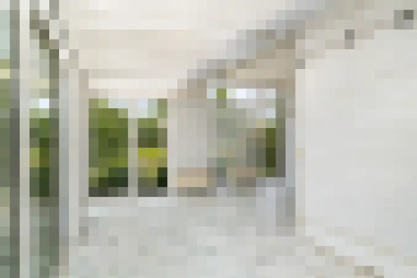 Bospolder 19 Honselersdijk thumbnail 19