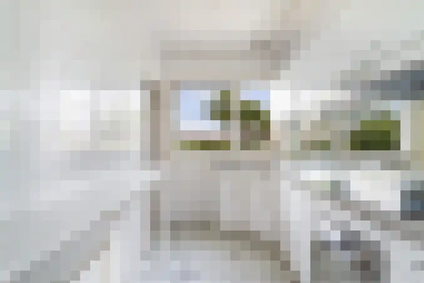 Bospolder 19 Honselersdijk thumbnail 20