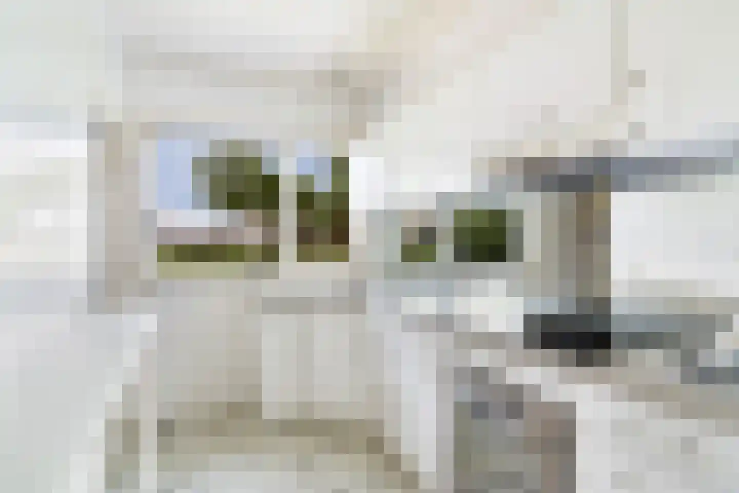 Bospolder 19 Honselersdijk thumbnail 21