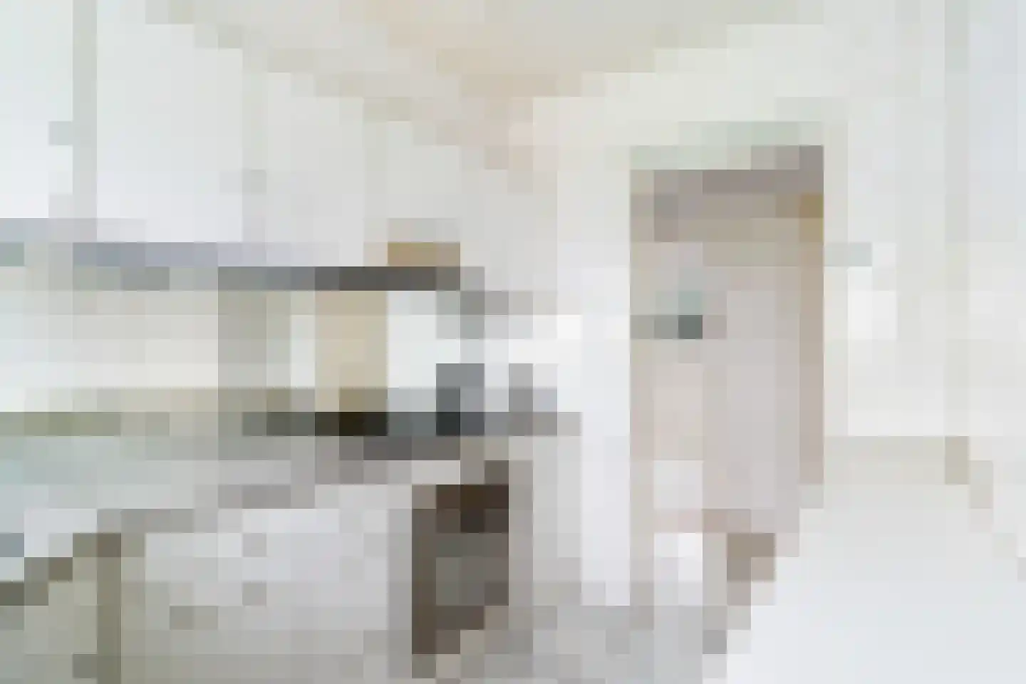 Bospolder 19 Honselersdijk thumbnail 22