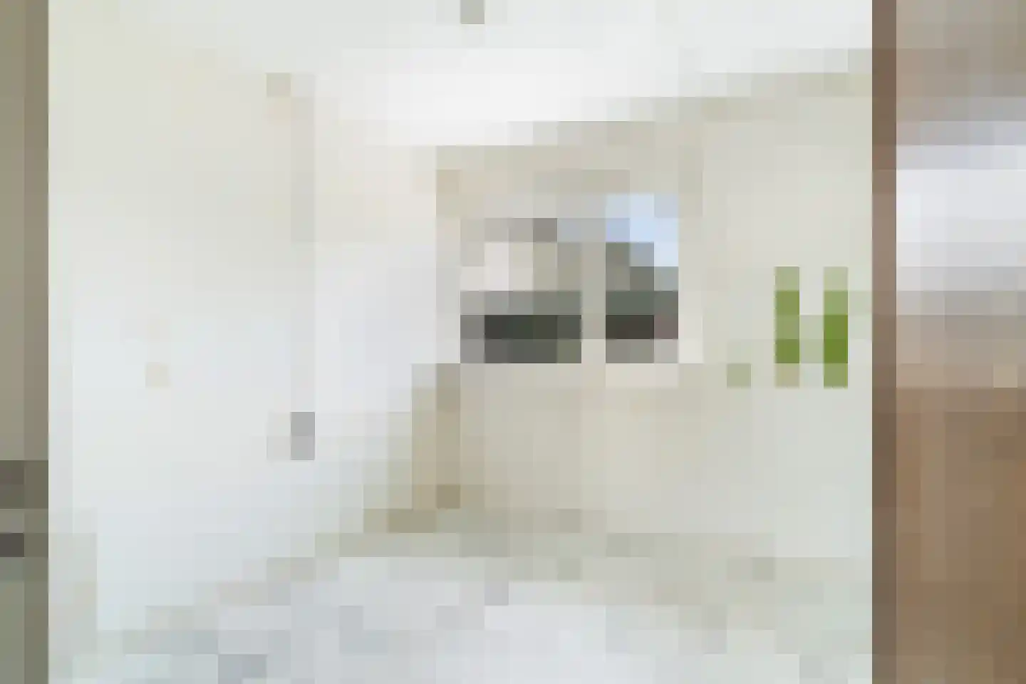 Bospolder 19 Honselersdijk thumbnail 25