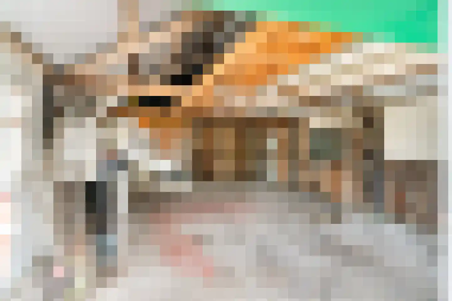 Bospolder 19 Honselersdijk thumbnail 30