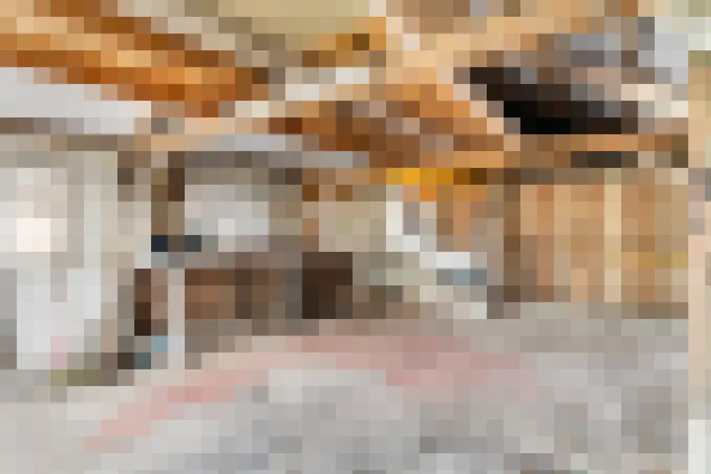 Bospolder 19 Honselersdijk thumbnail 32
