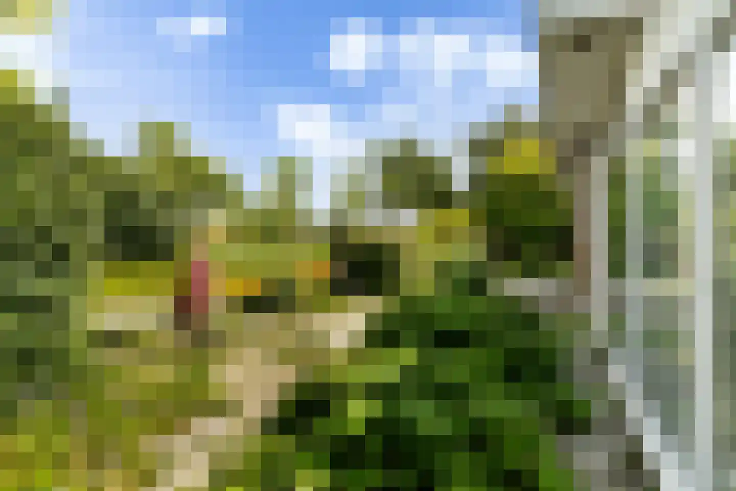 Bospolder 19 Honselersdijk thumbnail 34