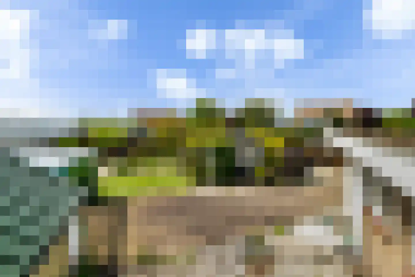 Bospolder 19 Honselersdijk thumbnail 37