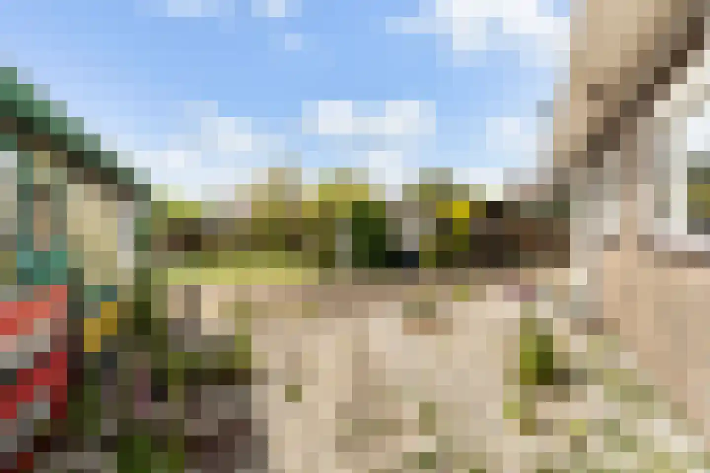 Bospolder 19 Honselersdijk thumbnail 41
