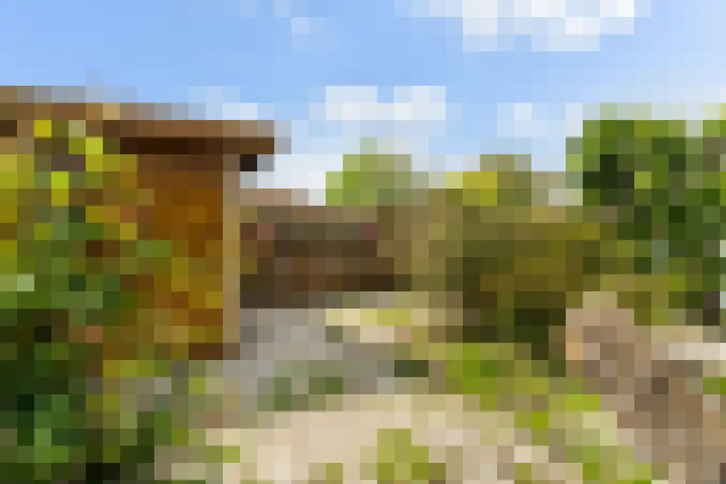 Bospolder 19 Honselersdijk thumbnail 43