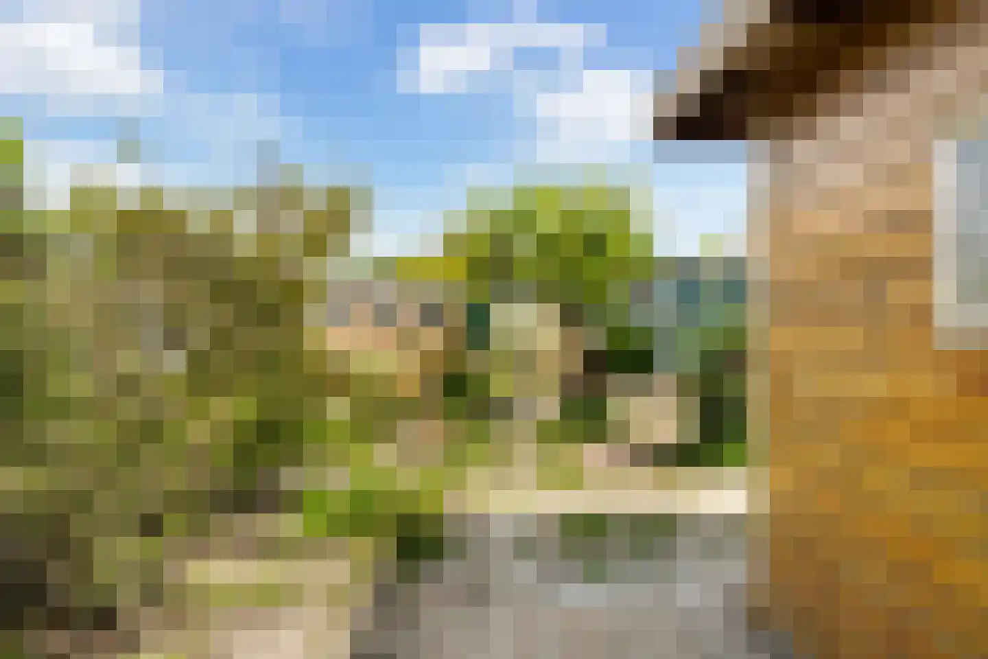 Bospolder 19 Honselersdijk thumbnail 44