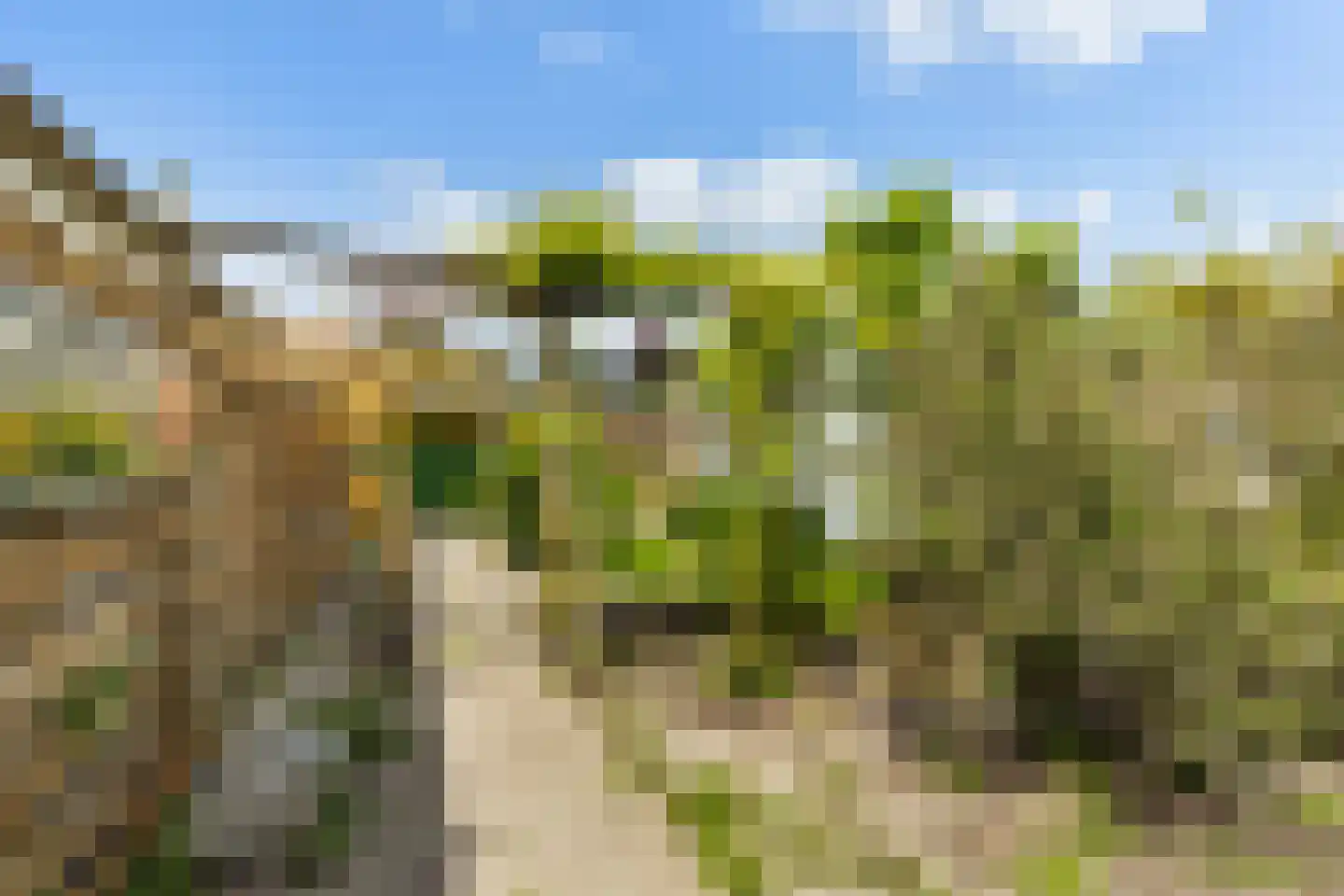 Bospolder 19 Honselersdijk thumbnail 45