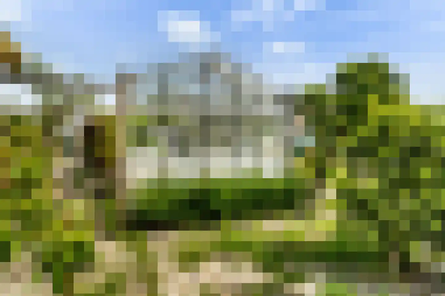 Bospolder 19 Honselersdijk thumbnail 46