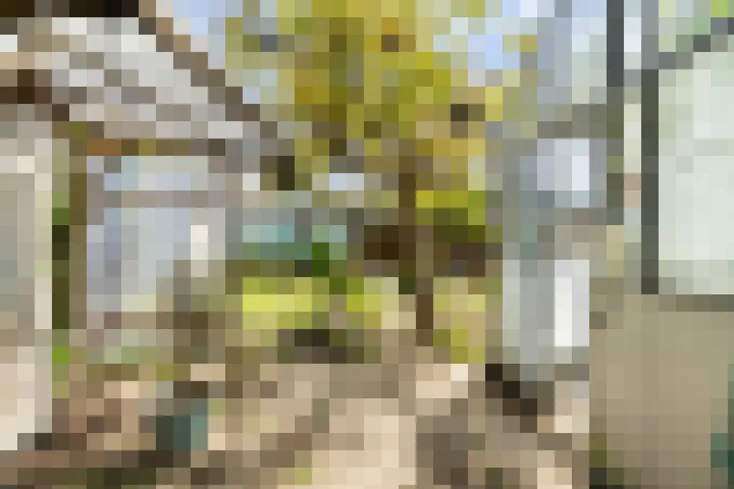 Bospolder 19 Honselersdijk thumbnail 47