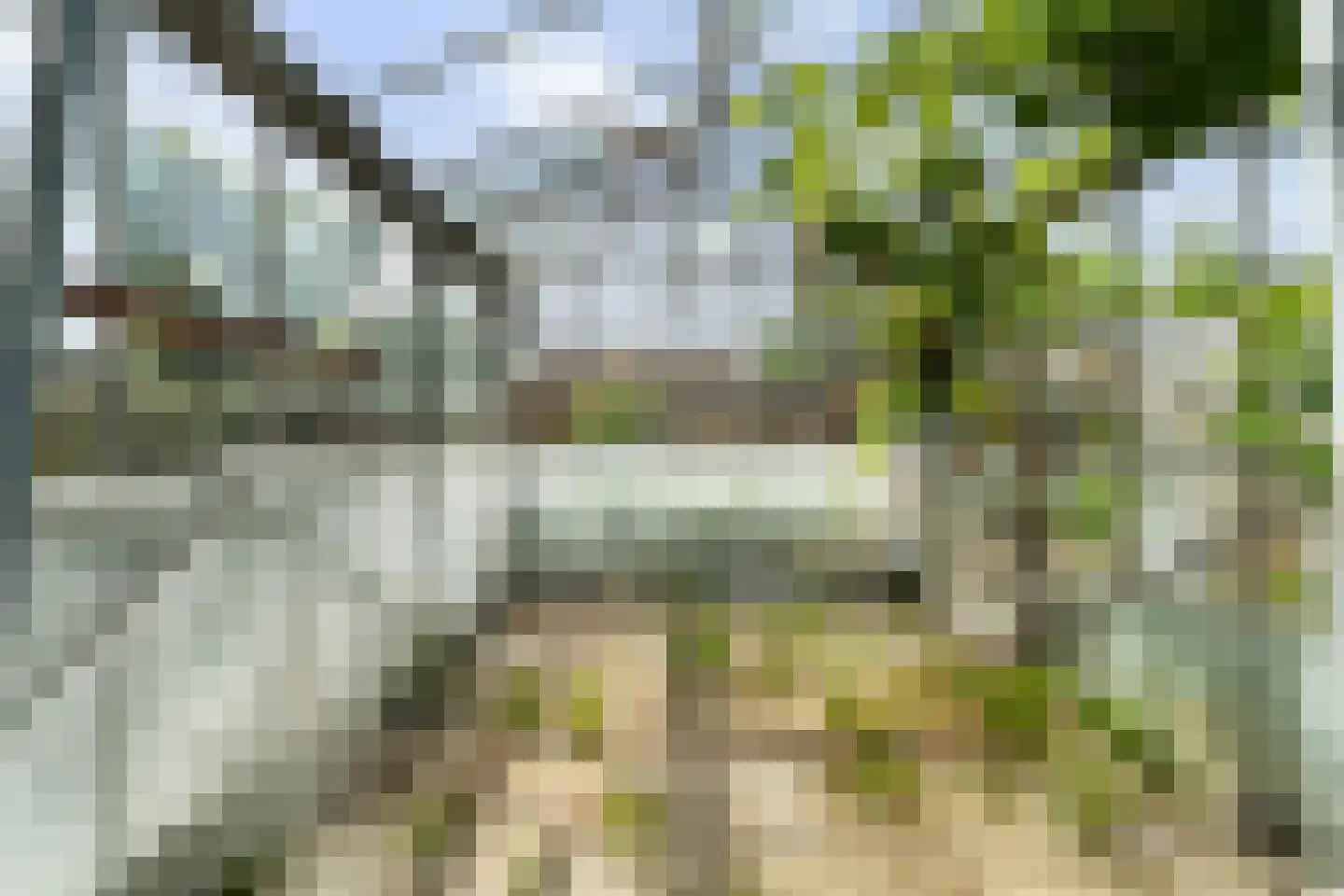 Bospolder 19 Honselersdijk thumbnail 48