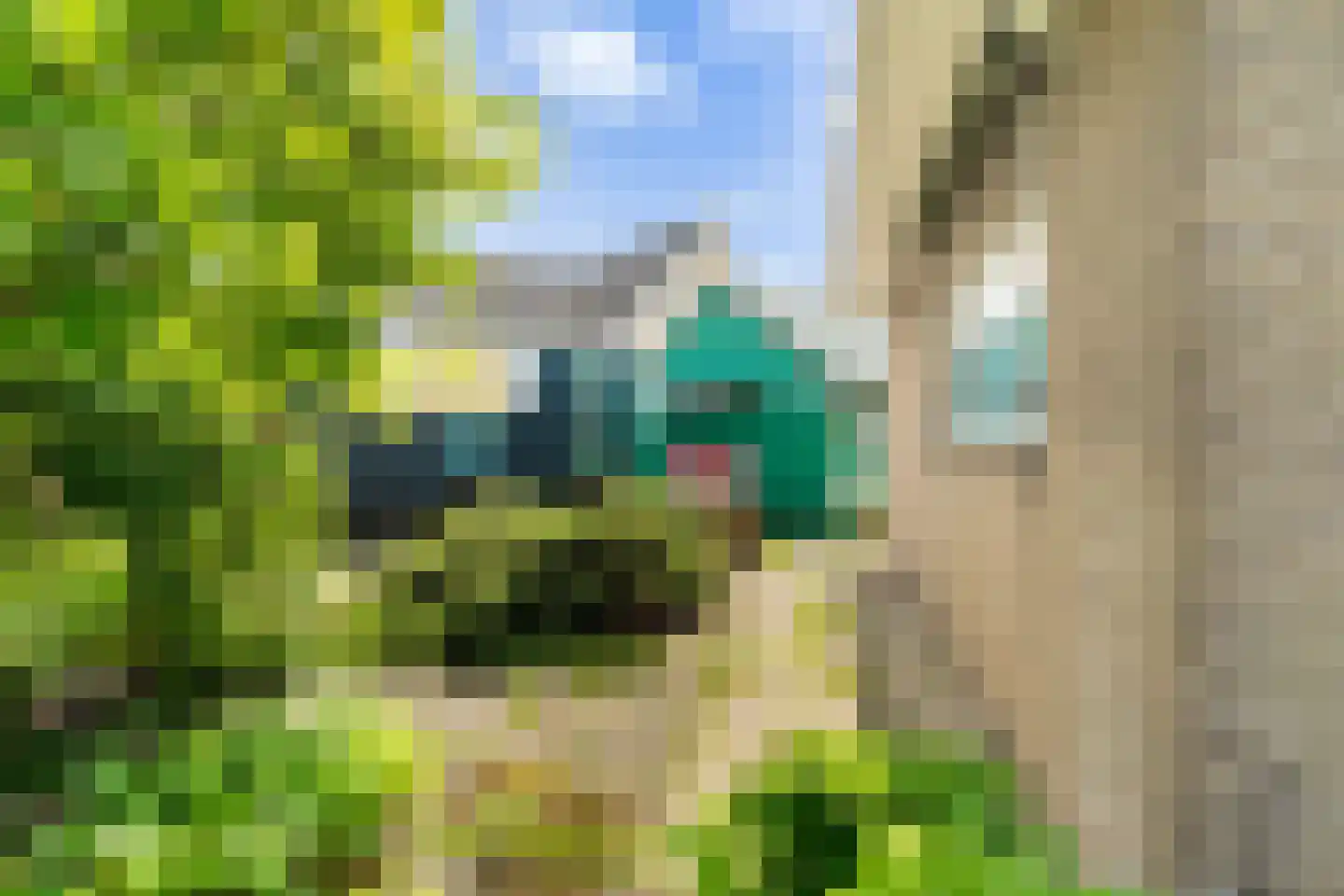 Bospolder 19 Honselersdijk thumbnail 53