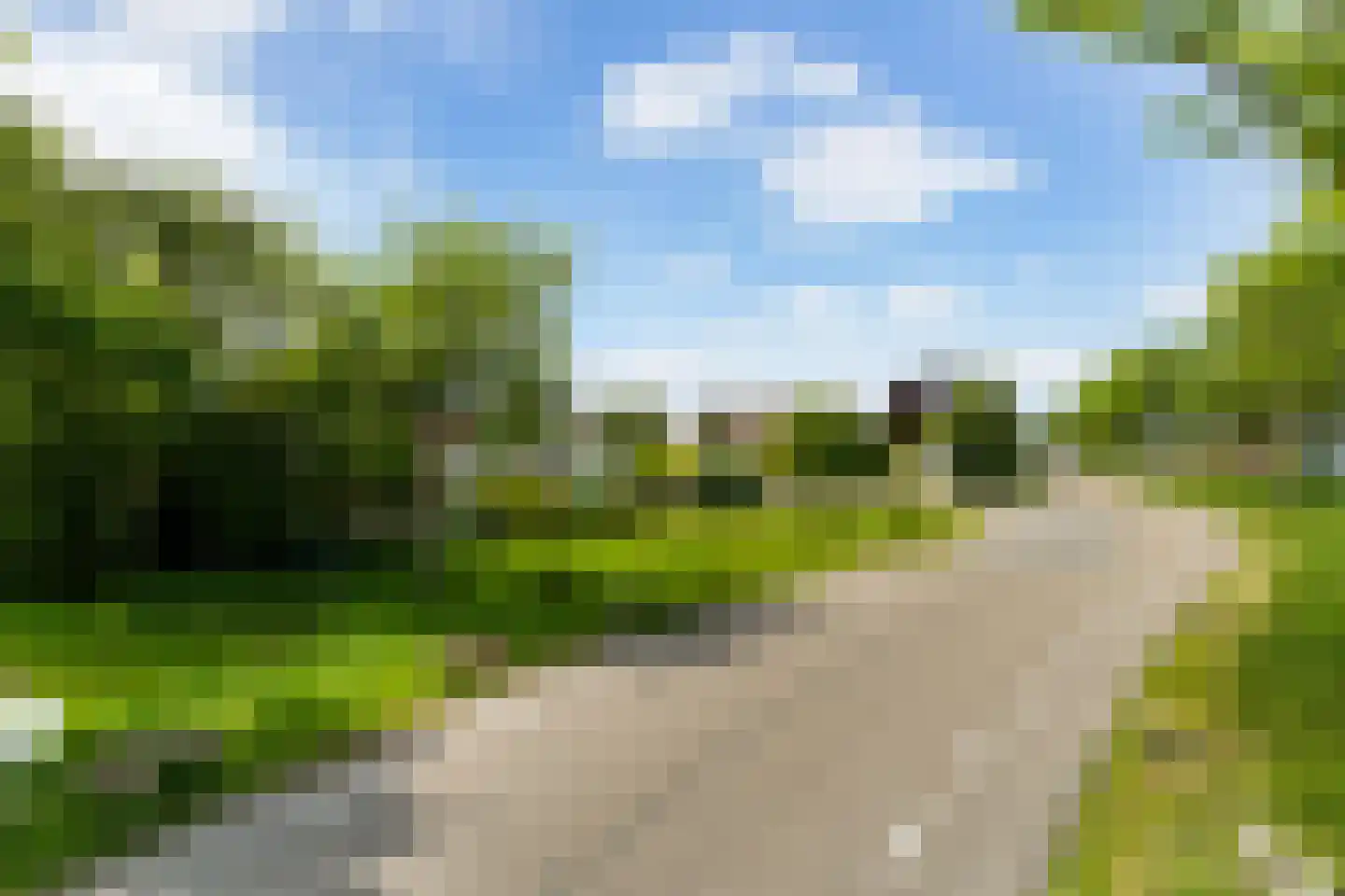 Bospolder 19 Honselersdijk thumbnail 55