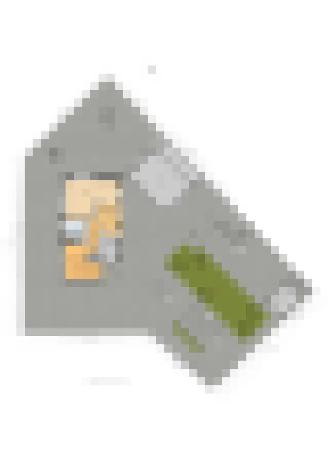 Bospolder 19 Honselersdijk thumbnail 56
