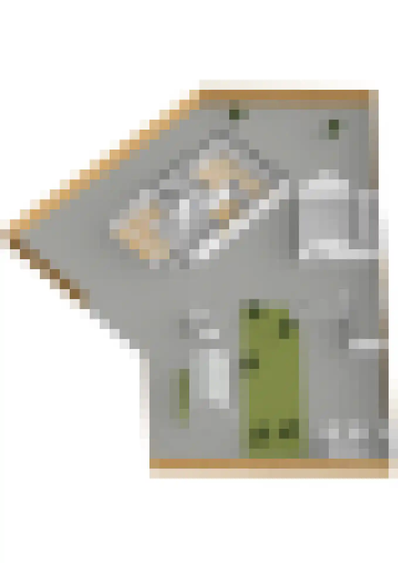 Bospolder 19 Honselersdijk thumbnail 57