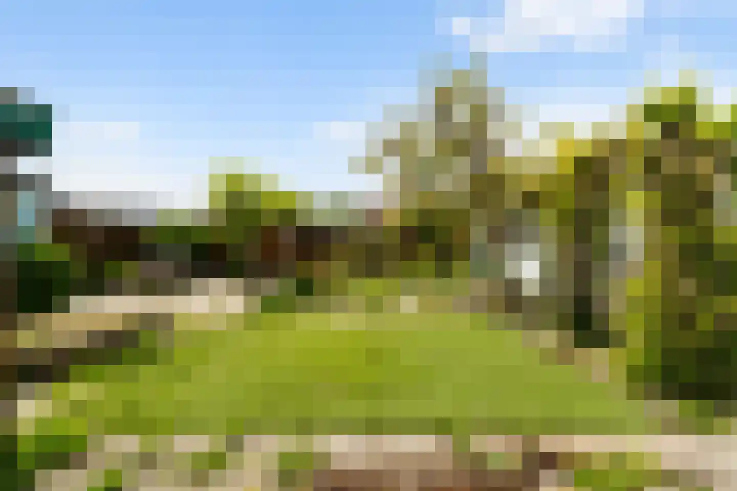 Bospolder 19 Honselersdijk thumbnail 6