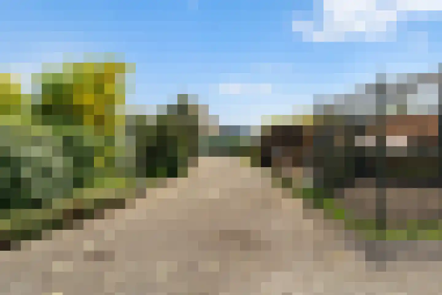 Bospolder 19 Honselersdijk thumbnail 7