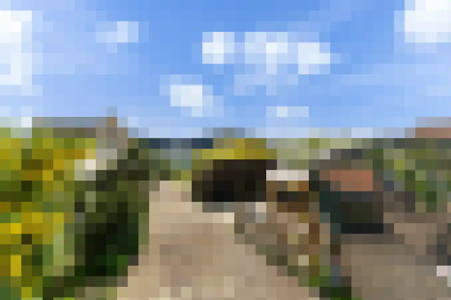 Bospolder 19 Honselersdijk thumbnail 8