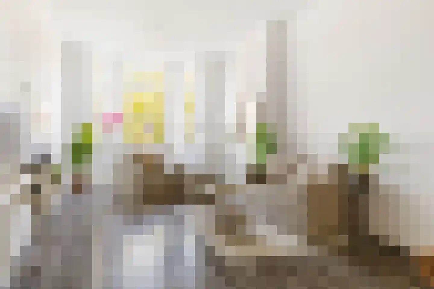 Bospolderplein 5 A 02 Rotterdam thumbnail 4